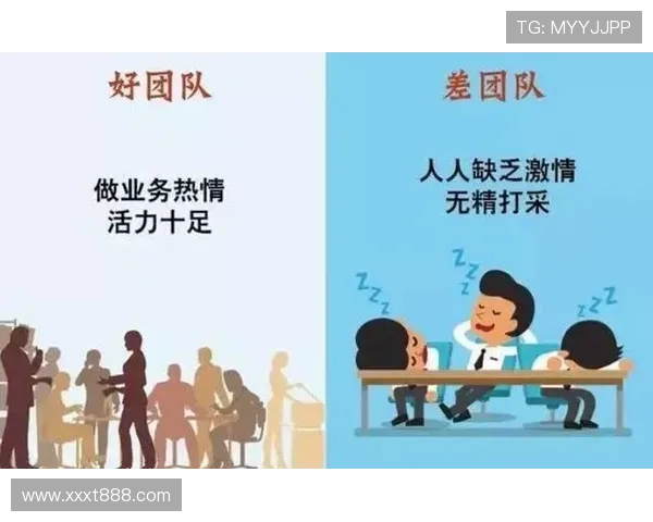 深圳乒乓球队在奥运会上的卓越表现与团队力量的深度解析 深圳乒乓球队在奥运会上的卓越表现与团队力量的深度解析